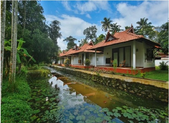 Palmgrove Lake Resort property image
