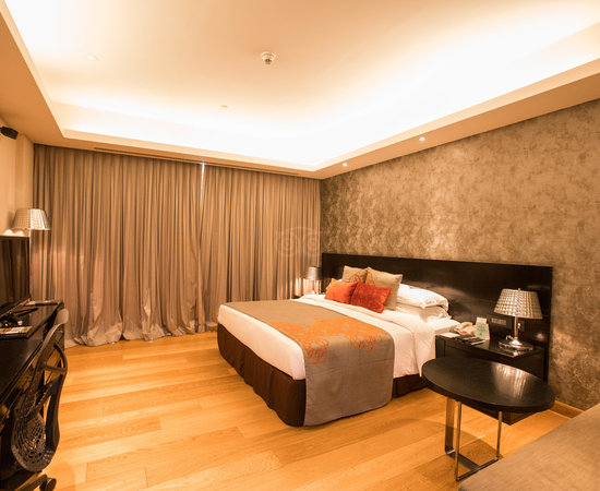 FRASER SUITES DELHI property image 3